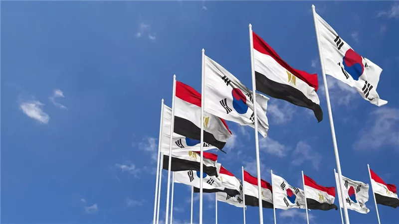 سفير مصر السابق بكوريا الجنوبية: القاهرة بوابة الصادرات الكورية إلى أفريقيا وأ