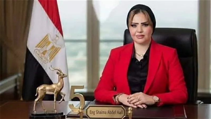 صرف النائبة شيماء عبد العال ومالك معرض سيارات وموظف من النيابة العامة 