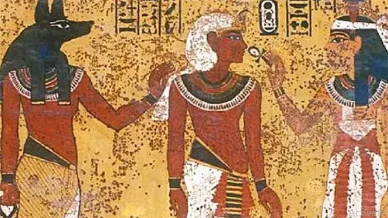 هل تصدق أنك تتحدث الهيروغليفية فى حياتك اليومية؟.. د. مصطفى وزيري يُجيب