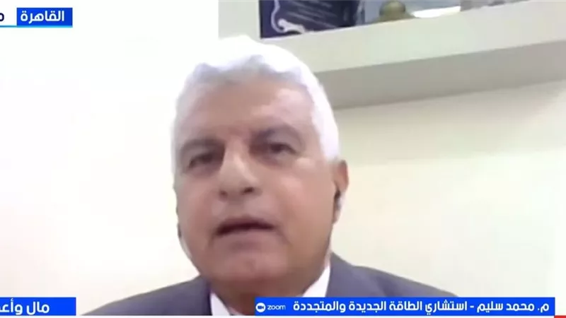 محمد سليم: مصر تخطو بثبات نحو 42% طاقة متجددة.. وضرورة لتحرير السوق