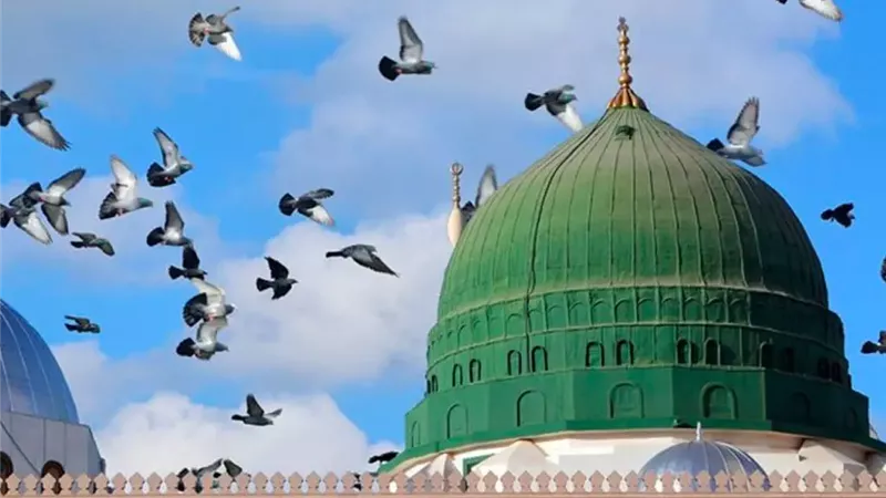 رؤية الله جل وعلا يوم القيامة: خطيب المسجد النبوي يوضح حديث «إنكم سترون ربكم» 