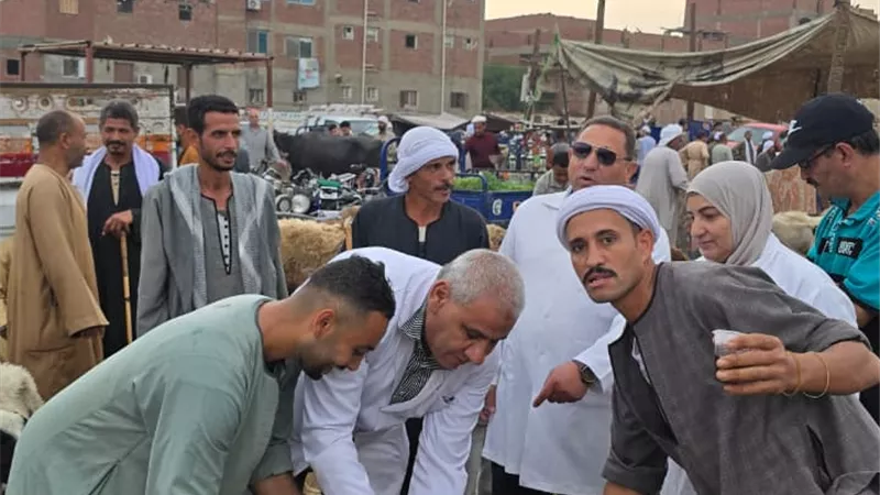 محافظ الجيزة: تحصين 83 ألفًا و700 رأس ماشية للحفاظ على الثروة الحيوانية