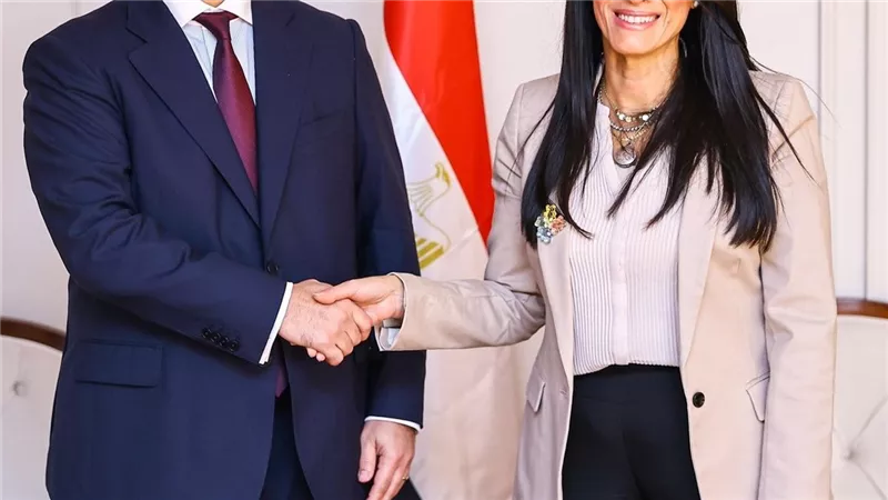 مصر والجزائر يعززان التعاون في مجالات البترول والطاقة