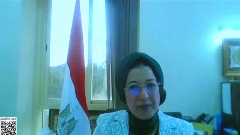 سفيرة مصر في زامبيا: العملية الانتخابية تسير بسلاسة.. والدعم الفني متواصل