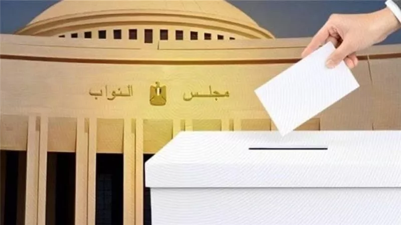 سفير مصر في أيرلندا: العملية الانتخابية تسير بانتظام دون أي مشكلات