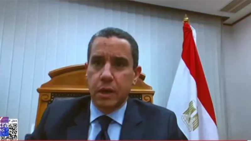سفير مصر باليابان: الجالية المصرية حريصة على ممارسة كل حقوقها الدستورية 