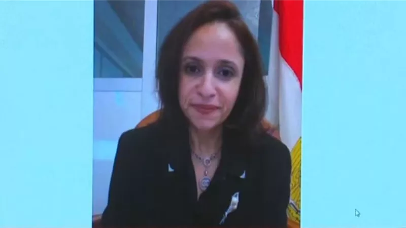 مروة حجازي: المصريون في وندي يتحدون الطقس للمشاركة في انتخابات النواب 
