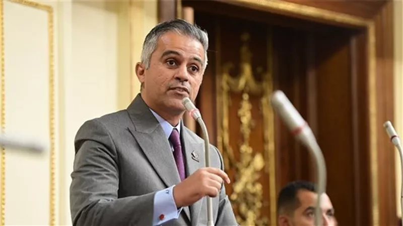 مطالب برلمانية بمناقشة عامة لدعم الكيانات الشبابية وتعزيز دورها في التنمية