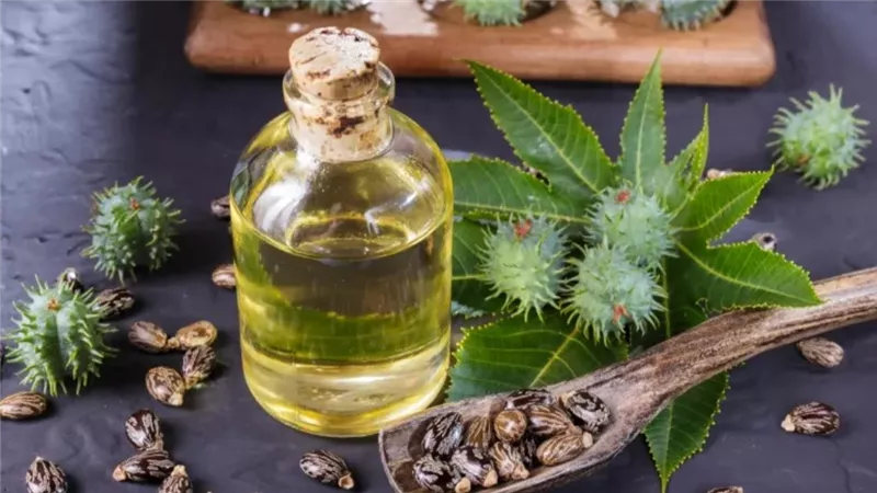 زيت الخروع للبشرة..السر الطبيعي لاستعادة النعومة والحيوية 