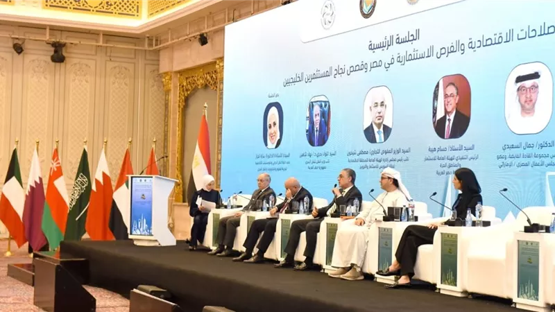 حسام هيبة: الطريق مفتوح للقطاع الخاص العربي للمساهمة في جهودالتنمية الاقتصادية