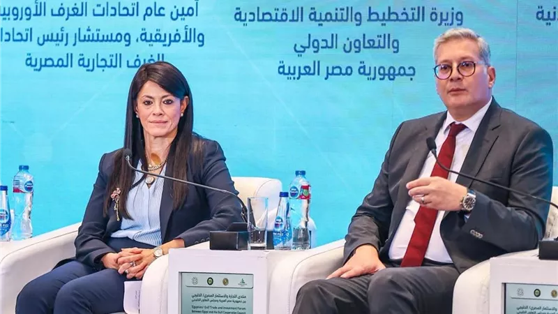 التخطيط: أكثر من 16 مليار دولار تمويلات ميسرة للقطاع الخاص من شركاء التنمية 