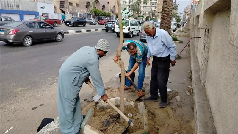 محافظ الشرقية يتابع انطلاق أعمال زراعة الأشجار ضمن مبادرة «100 مليون شجرة»