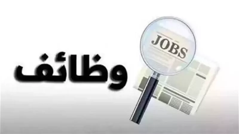 القوى العاملة تعلن عن 317 فرصة عمل جديدة بالمنوفية في هذه التخصصات