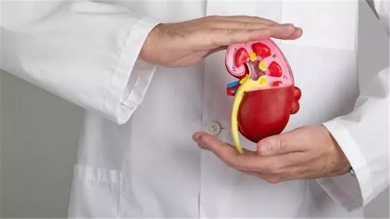 دراسة تظهر ارتفاعًا قياسيًا في انخفاض وظائف الكلى بجميع أنحاء العالم