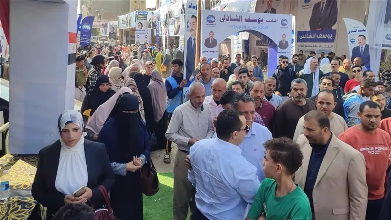 الأدارية العليا تنهى الجدل.. قائمة الدوائر الـ27 التي تشملها إعادة الانتخابات