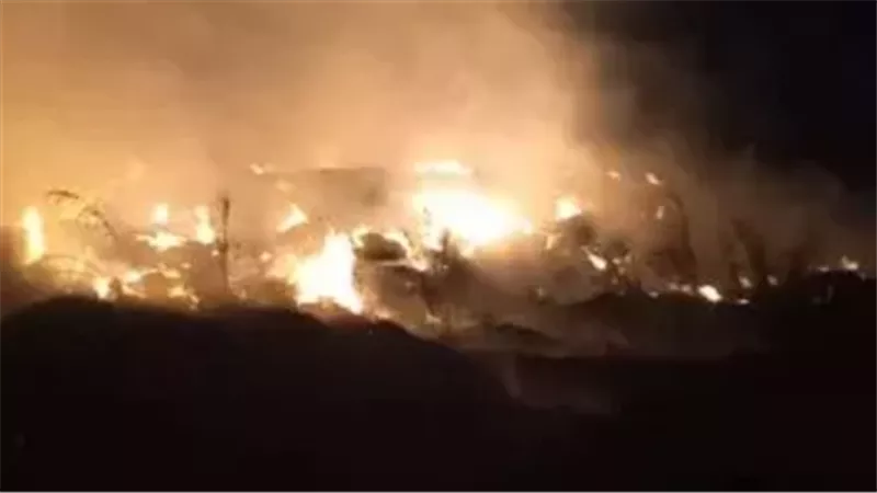اندلاع حريق هائل بمخلفات زراعية داخل حديقة المتحف الزراعى بالدقى