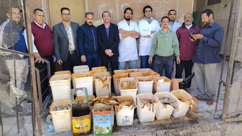 قبل عيد الفطر.. ضبط 2450 كجم أسماك فاسدة في سوهاج |صور 