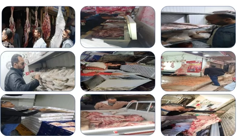 بحلول عيد الفطر.. محافظ الجيزة: وقف إجازات البيطريين وتكثيف الحملات بأماكن تخزين وتداول الأسماك المملحة والمدخنة 