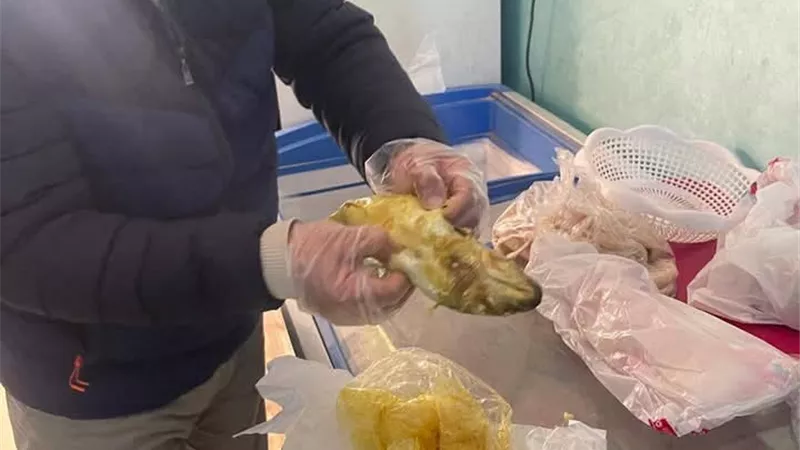 قبل بيعها للمواطنين في العيد.. ضبط 100 كيلو فسيخ مجهول المصدر بالقليوبية 