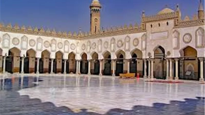 ماذا تفعل إذا وجدت مالًا في الطرق العامة؟  .. لجنة الفتوى تجيب