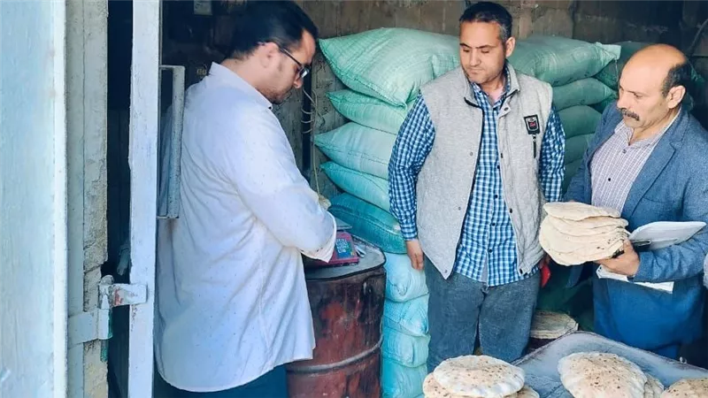 حملات تفتيشية 
