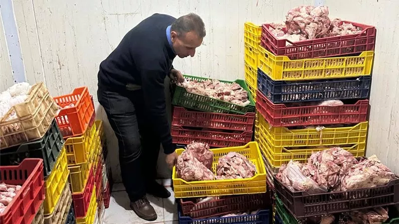 قبل عيد الفطر.. ضبط طن دجاج مخالف للمواصفات في حملة مفاجئة بالدقهلية