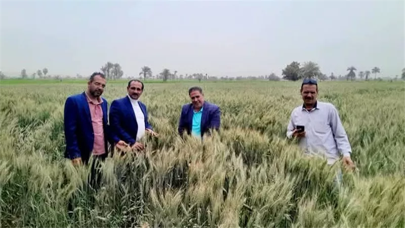 ثانى أيام العيد.. وكيل زراعة الفيوم يلتقى بمزارعى اطسا بالحقول لمناقشة مشاكلهم