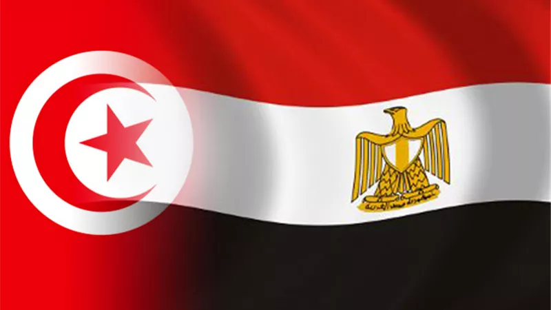 مصر وتونس على طريق الشراكة المتكاملة.. ملفات الشباب والتنمية في الصدارة |فيديو