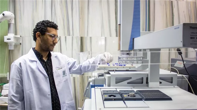 الزراعة تواصل العمل لمتابعة التقاوي والمحاصيل الاستراتيجية وفحص عينات التصدير
