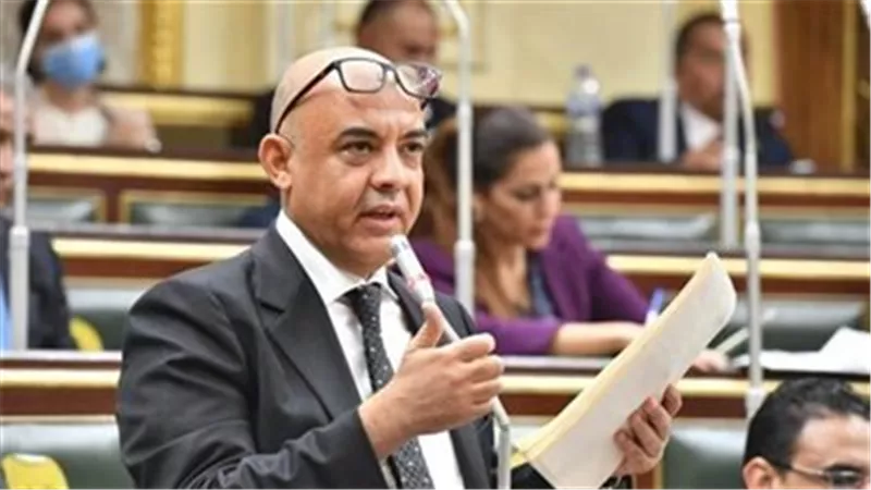 برلماني: جولة الرئيس السيسي الخليجية تؤكد على دور مصر المحوري في المنطقة