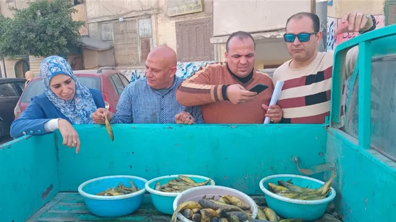 في حملة مكبرة.. ضبط 624 عبوة مواد غذائية مجهولة المصدر بكفرالشيخ 