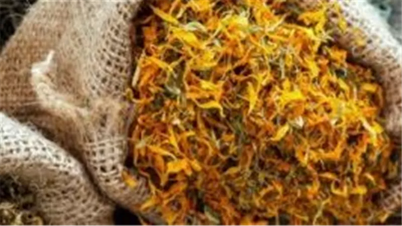 هاني حسين: النباتات العطرية أبرز صادراتنا لأمريكا والتأثر بقرار ترامب 