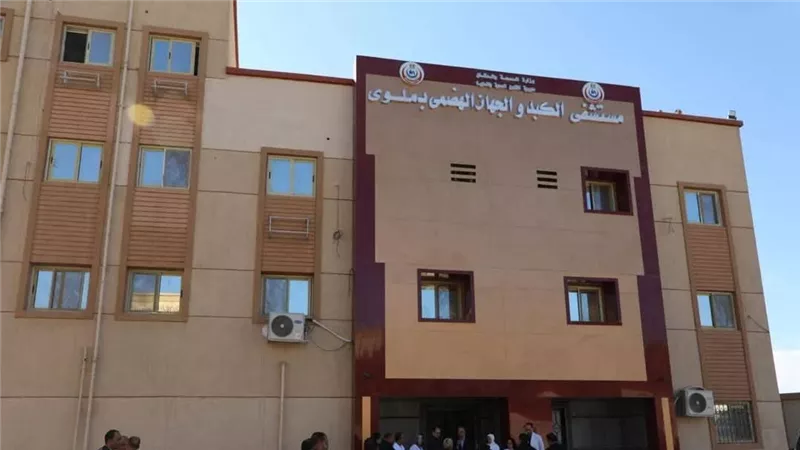 من رحم المعاناة إلى بريق الأمل..  مستشفى ملوي للكبد قصة تحدي وإنجاز في عروس الصعيد