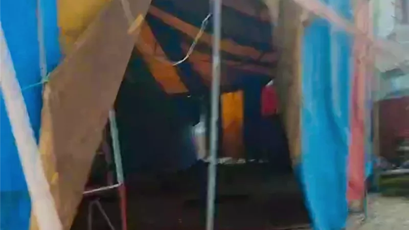 الاتحاد النوعي لجمعيات الرفق بالحيوان: حادث سيرك طنطا ليس الأول والوضع يتطلب إجراءات فورية وعاجلة