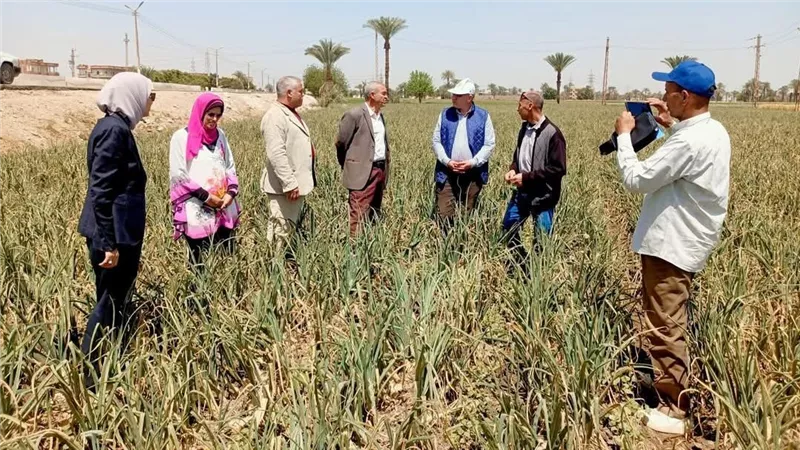 رئيس الإدارة المركزية لمكافحة الآفات بوزارة الزراعة يتفقد الحقول الزراعية بالفيوم