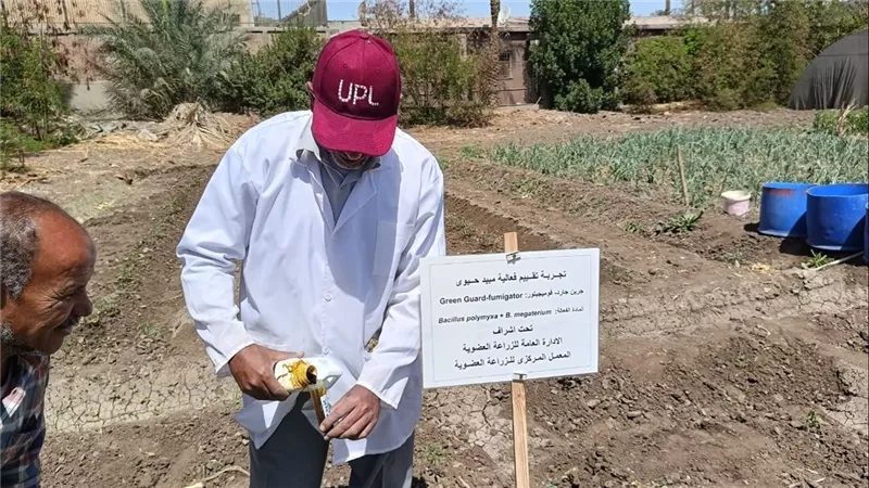 الزراعة: إطلاق أول مبيد عضوي لمكافحة الحشائش في مصر