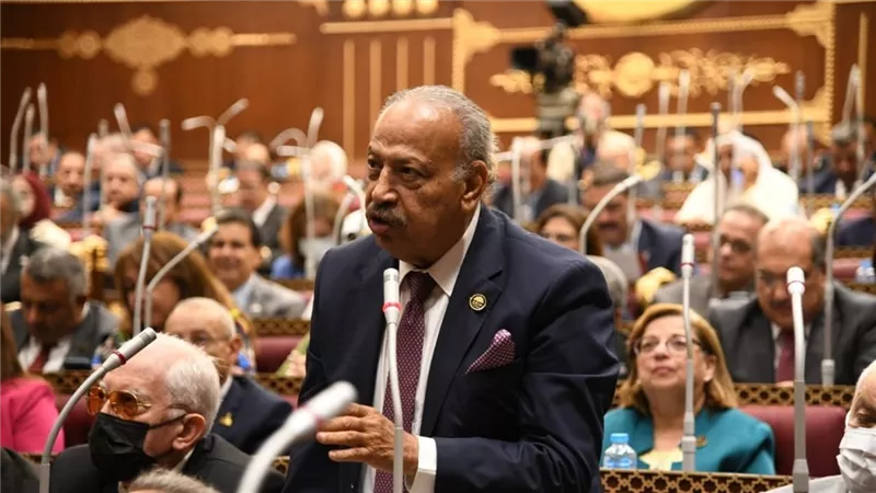 النائب هاني العسال: مصر نجحت في تحويل شمال سيناء لمدينة استثمارية