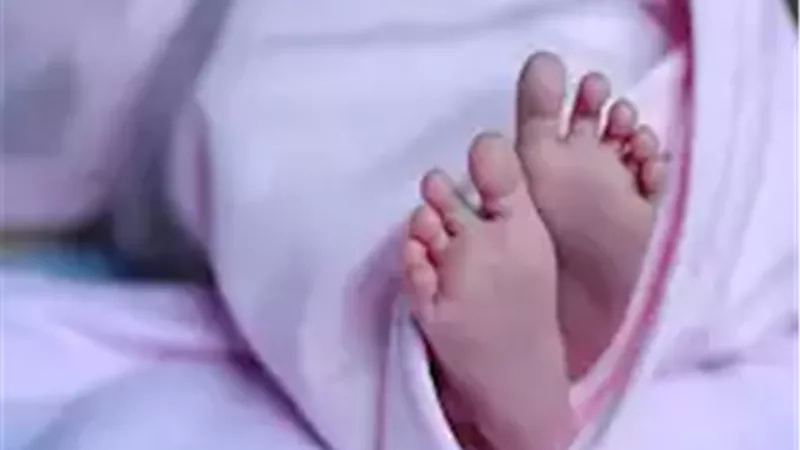 طالبة حملت سفاحا من صديقها.. كشف غموض رضيعة جامعة القاهرة