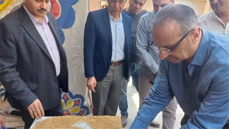 وزير التموين من الفيوم: بدء موسم توريد القمح رسميا في 15 أبريل الجاري