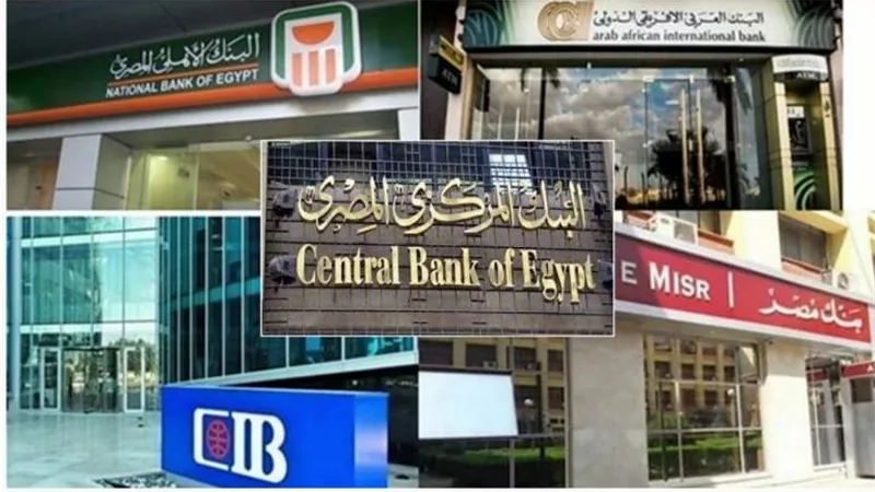 عبر خدمات مصرفية متميزة  ..كيف تعمل البنوك المصرية على دعم الشمول المالي؟