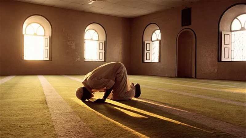 حكم قراءة سورتي 