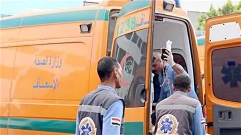  بسبب خلافات زوجية .. ضبط سباك اعتدى على زوجته بسكين في المنوفية