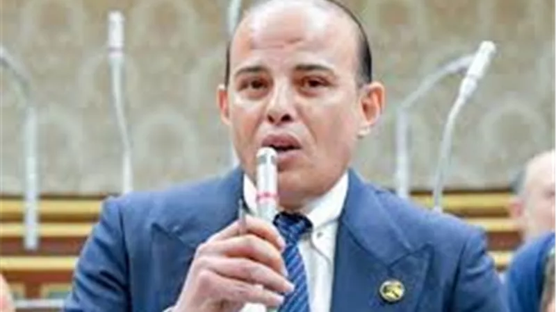 عمرو القطامي: وعي المصريين أنهى أحلام الإخوان الإرهابية في العودة للمشهد