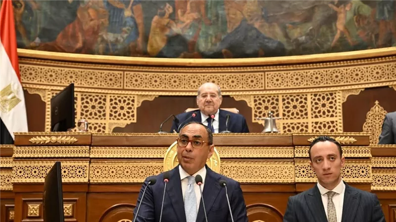 هاني سري الدين: الاقتصاد الوطني في أي دولة يعتمد على دعائم رئيسية
