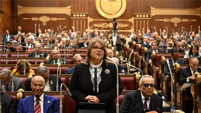 وكيلة مجلس الشيوخ: نتعامل بقانون للتجارة مر عليه أكثر من 150 عامًا
