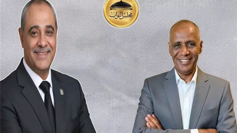 انتخابات النواب بالأقصر.. حسم مقاعد الدائرتين الأولى والثانية في جولة الإعادة