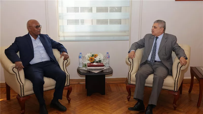 تعاون مصري سوداني بحري.. قناة السويس تقدم دعمها لرفع كفاءة الموانئ السودانية