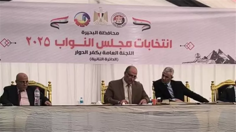 بعد الحصر العددي للأصوات.. الإعادة في 7 دوائر انتخابية وحسم دائرتين بالبحيرة