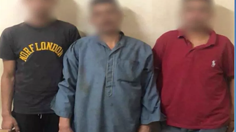 خلاف جيرة ينتهي بجريمة.. ضبط أب ونجليه بعد اعتدائهم على سائق توك توك بالمنوفية