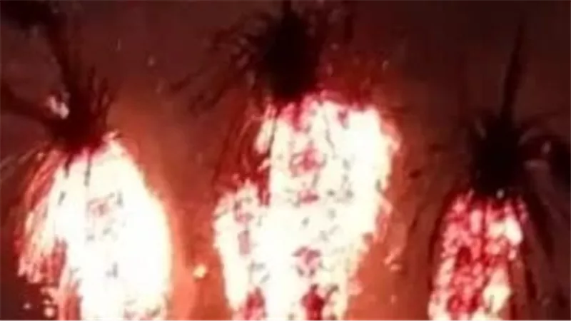 السيطرة على حريق في نخيل بعزبة الزراعة بينها         
